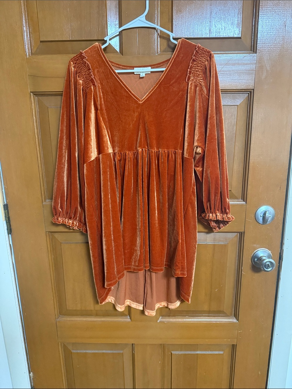 Umgee Rust Velvet V-Neck Smocked Sleeve Tunic